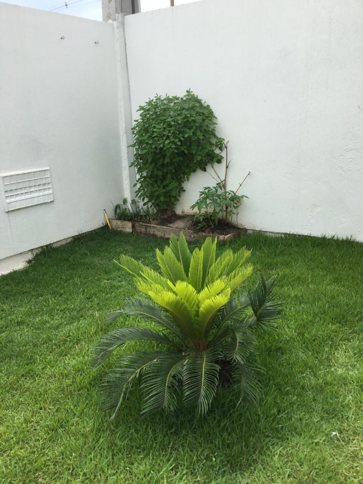& Conforto Homestay